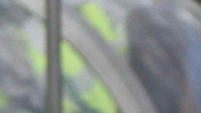 Javier 'Vasco' Aguirre ha afirmado estar tranquilo, pero paso a paso la realidad lo alcanza.