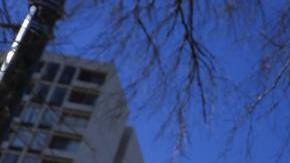 Celebración en el día de Martin Luther King.