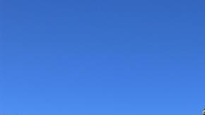 Ejército mexicano aseguró un "camión monstruo"