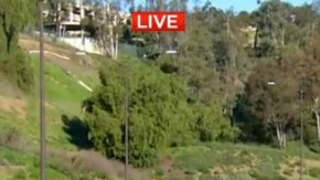 Vías aledañas al centro han sido bloqueadas.