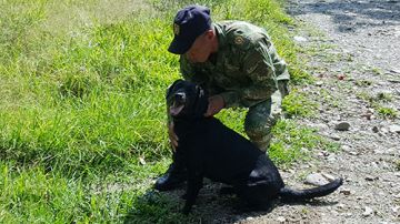 El perro "Azabache" fue sepultado con honores militares en Colombia.