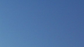 Según la portavoz del parque, el niño fue atendido rápidamente y la familia regresó al parque de atracciones tras el incidente.