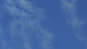 En las instalaciones del parque temático Walt Disney World Resort se han habilitado puntos para que los empleados que deseen donen sangre.