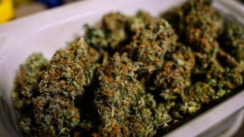 En la operación, los agentes también hallaron marihuana en proceso de secado.