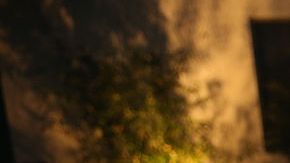 Activistas alegan que las redadas de ICE estarían violando derechos civiles de inmigrantes.