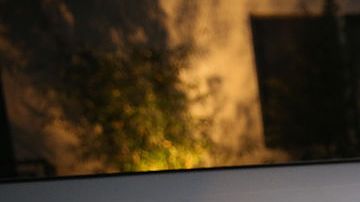 Activistas alegan que las redadas de ICE estarían violando derechos civiles de inmigrantes.