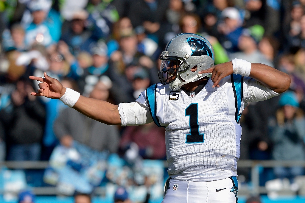 cam newton panthers vs seahawks playoffs