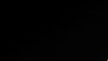 Ron Rivera ha convertido a los Panthers de Carolina en una nueva potencia de la NFL.