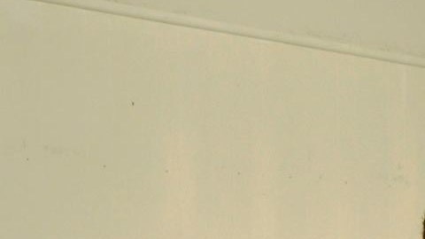 image1-3