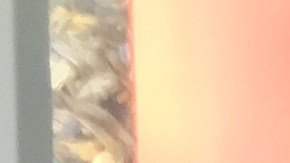 Miguel Jacobo, junto con su esposa, comenzó su propia compañía de servicios de construcción.