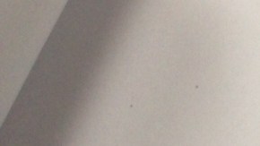 Imagen muestra la carta con el aviso de deportación voluntaria que recibió la mujer. / ISAIAS ALVARADO