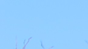 Abel Nuñez, director ejecutivo de CARECEN en Washington pide a los inmigrantes que mantengan la calma y conozcan sus derechos.