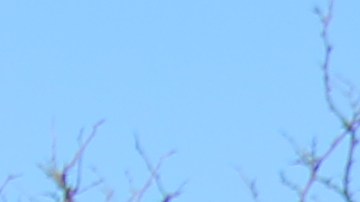 Abel Nuñez, director ejecutivo de CARECEN en Washington pide a los inmigrantes que mantengan la calma y conozcan sus derechos.