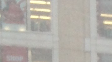 Nevada de la tormenta Jonás en Nueva York el sábado 23 de enero de 2016.