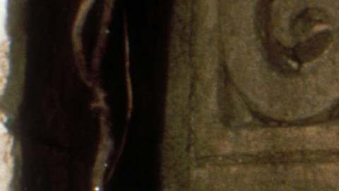 Foto: Archivo