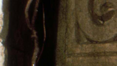 Foto: Archivo