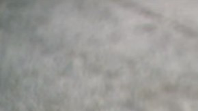 "Liam", el husky que estaba perdido.