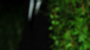 Miley y Liam se comprometieron en 2012 y un año después anunciaron su ruptura.