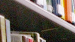 La amnistía de la biblioteca de Los Ángeles durará entre el 1 y 14 de febrero. /ARCHIVO