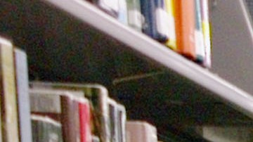 La amnistía de la biblioteca de Los Ángeles durará entre el 1 y 14 de febrero. /ARCHIVO