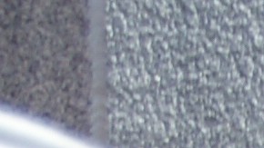 redadas San Francisco