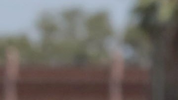 PROTEST AGAINST SOLITARY CONFINEMENT