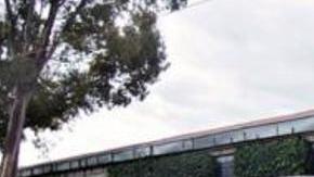 Oribe Peralta fue festejado por sus compañeros en el Club América.