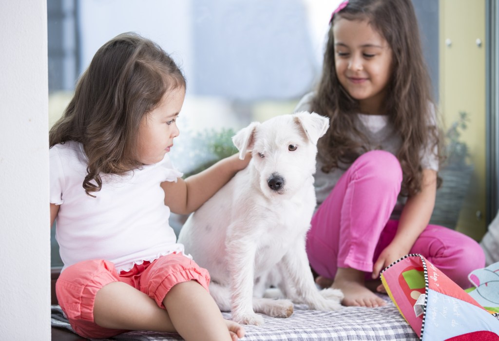 Asegúrate de escoger una raza que se adapte bien a la edad de tus hijos./Shutterstock.