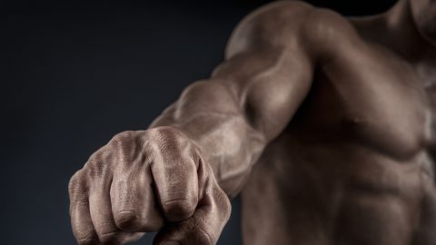 musculo