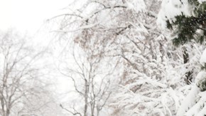 tormenta nieve
