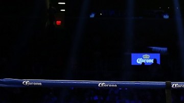 Deontay Wilder celebra su victoria sobre Artur Szpilka, en 2016.