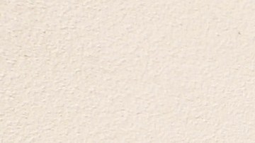 Geyso Lemus y su hijo Anderson de 11 años pedirán a los congresistas que intervengan ante las autoridades de migración para que ya no haya más redadas que separen a las familias centroamericanas.