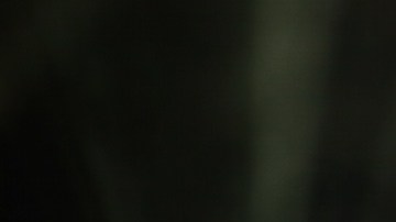 Hasta la policía española felicitó al cantante por su buena acción.