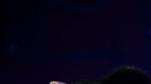 gloria trevi