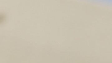 Un camaleón de Meller africano.