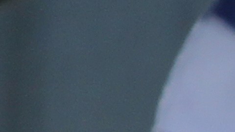 El presidente de Bolivia, Evo Morales (d) participa  junto a miles de simpatizantes en el cierre de campaña  del Movimiento al Socialismo (MAS).