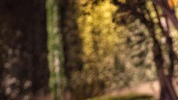 El papa Francisco llegó a la nunciatura apostólica en Ciudad de México el viernes.