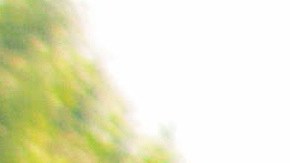 El segundo jefe de las FARC Luciano Marín Arango (c), alias "Iván Márquez", durante un acto público en la aldea de Conejo, en el departamento de La Guajira (Colombia), el 18 de febrero de 2016.