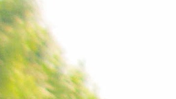 El segundo jefe de las FARC Luciano Marín Arango (c), alias "Iván Márquez", durante un acto público en la aldea de Conejo, en el departamento de La Guajira (Colombia), el 18 de febrero de 2016.