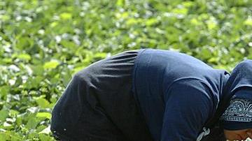 abuso laboral menores campos