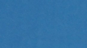 Alejandro G. Iñárritu, el sábado, con su segundo premio DGA al Mejor Director de un filme, en este caso por 'The Revenant'.