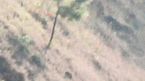 "Los Chapitos" mandan levantar a quien no respete toque de queda