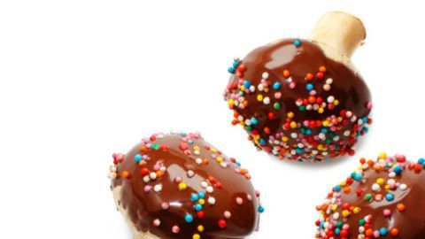hongos chocolate