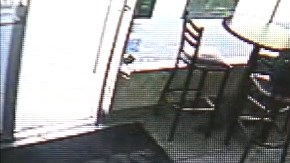 La cámara de vigilancia revela el momento en que paramédicos asisten al recién nacido.