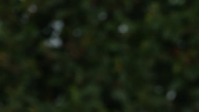 Estrada asegura que las acusaciones de Terán son totalmente falsas.