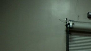 El curioso incidente se suscitó mientras circulaba por Irlanda.