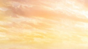 La compañía Disney cuenta con una línea de cruceros de lujo que organiza viajes exclusivos.