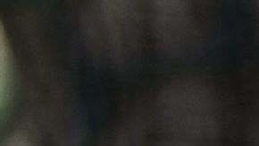 Cuando hace 15 años la mexicana Flor Molina escapó de una red de trata de personas, desconocía que un día su historia se convertiría en ejemplo de superación para las miles de víctimas de esclavitud que el grupo CAST LA calcula que hay en Estados Unidos. Su activismo para abolir la esclavitud y la trata de personas la llevó a reunirse con legisladores californianos y les convenció para que aprobaran herramientas legales para combatir este drama. De su trabajo surgieron las leyes estatales SB 657, que criminaliza la trata de personas, y la AB 22, que brinda protección a las víctimas, y el exgobernador de California Arnold Schwarzenegger (2003-2011) proclamó el 11 de enero como el Día de la Conciencia sobre la Trata de Personas. /EFE