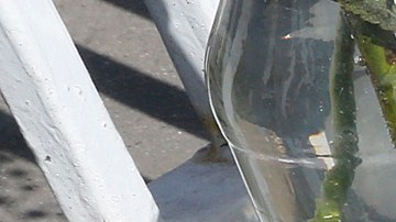 Manchas de sangre proliferan en Los Ángeles debido al repunte de crímenes violentos.