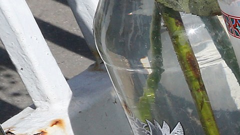 Manchas de sangre proliferan en Los Ángeles debido al repunte de crímenes violentos.